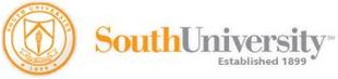 South University Online